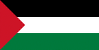 Palestine flag