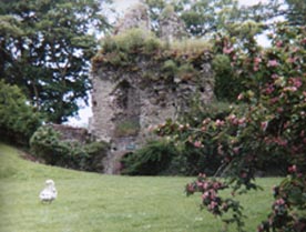 welsh castle usk